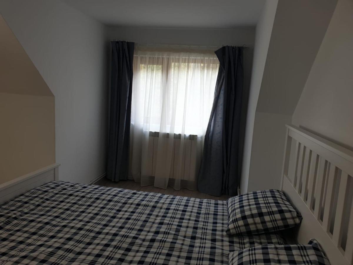 Casa Aris Lepsa Vrancea Hotel Luaran gambar