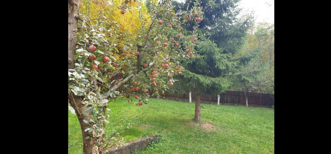 Casa Aris Lepsa Vrancea Hotel Luaran gambar