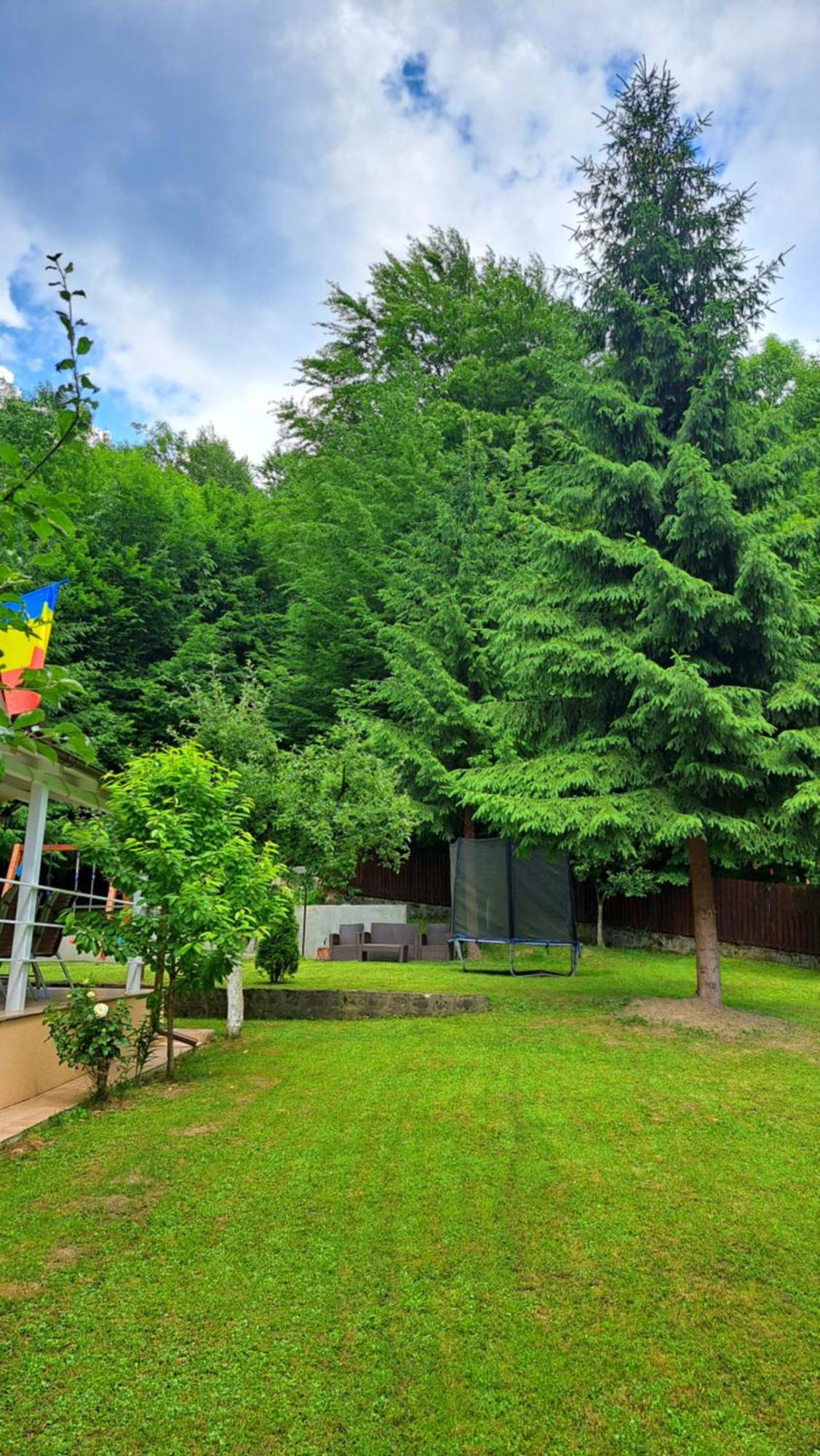 Casa Aris Lepsa Vrancea Hotel Luaran gambar