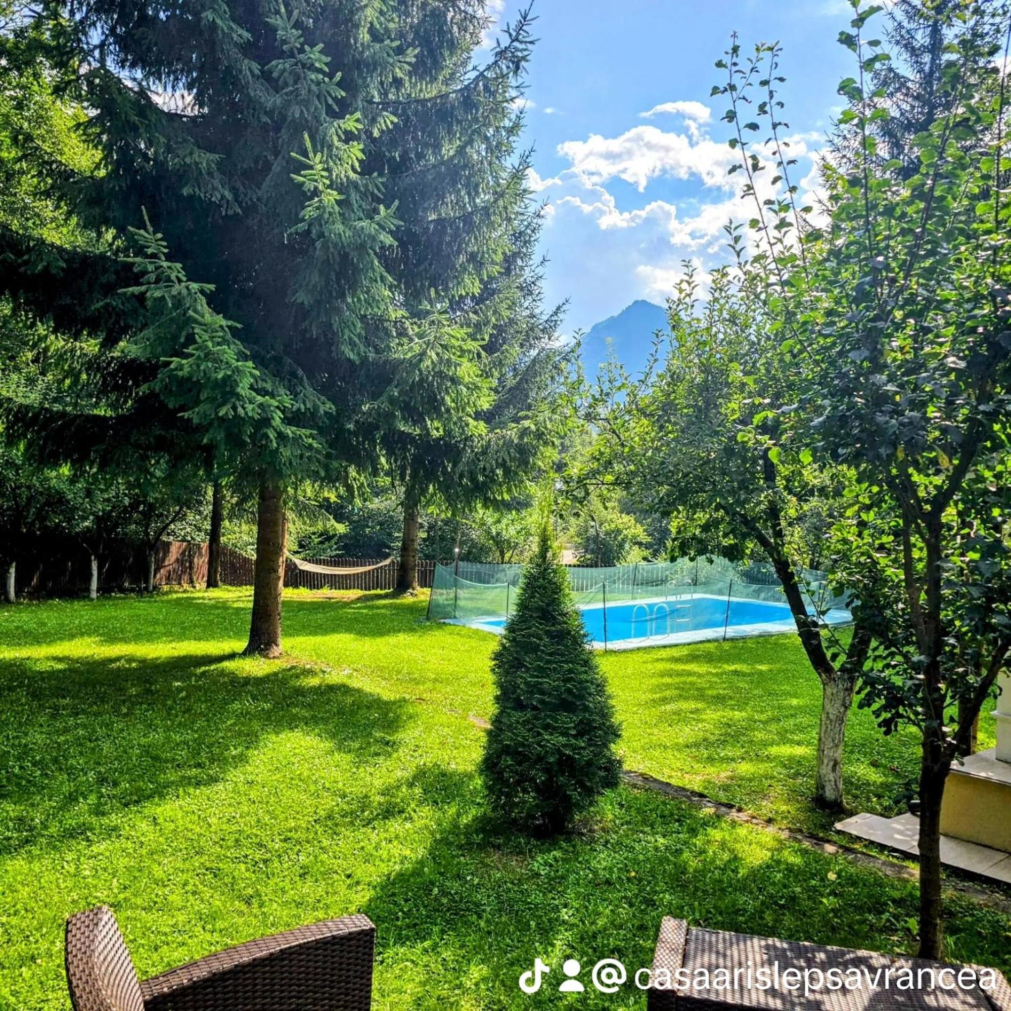 Casa Aris Lepsa Vrancea Hotel Luaran gambar
